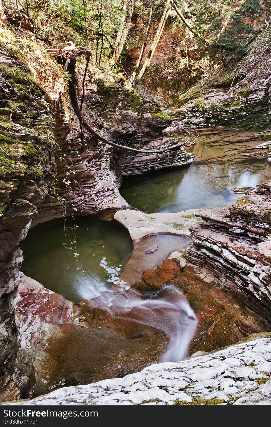 River Among The Forest