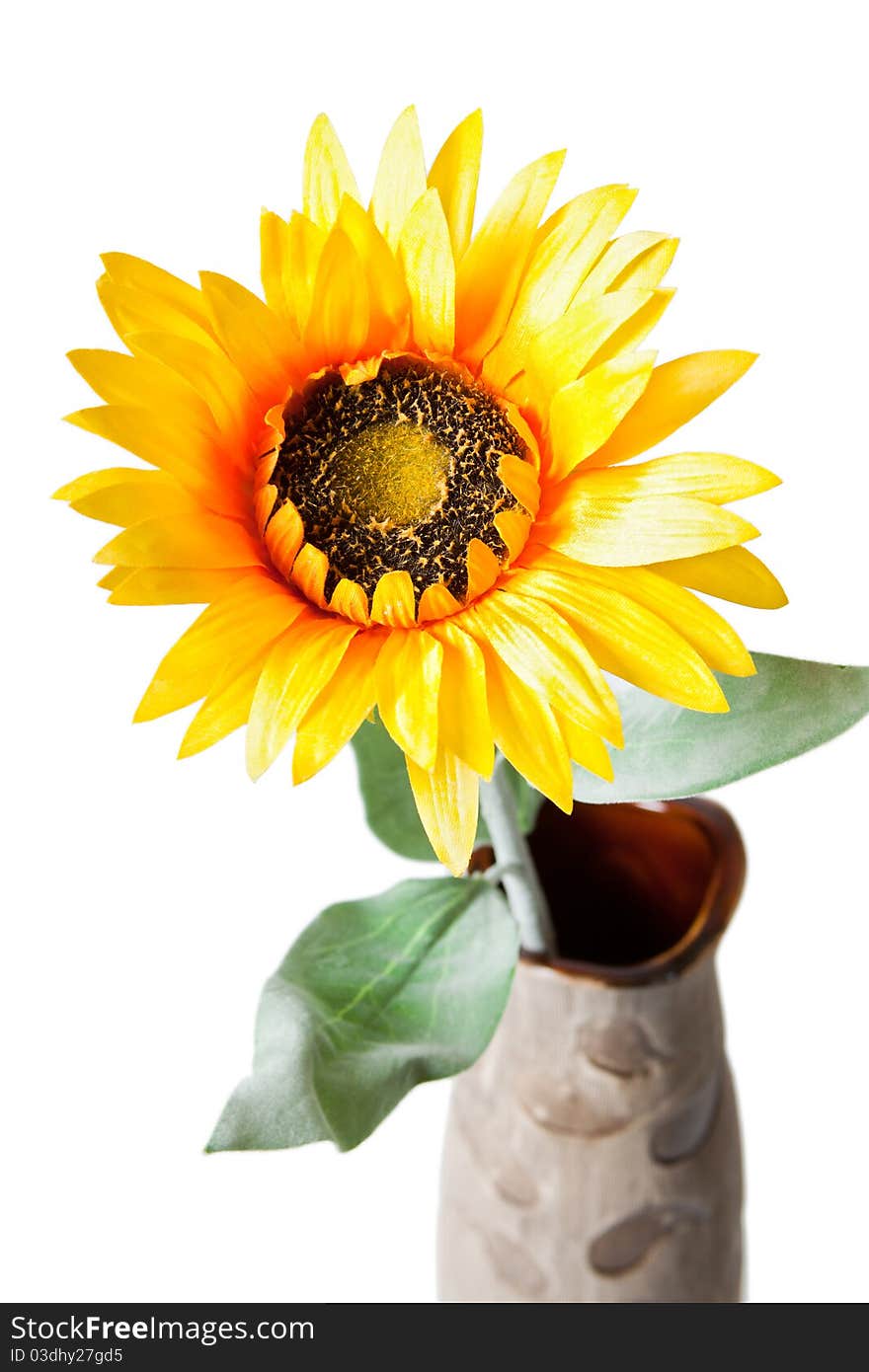 Orange sunflower in a vase.