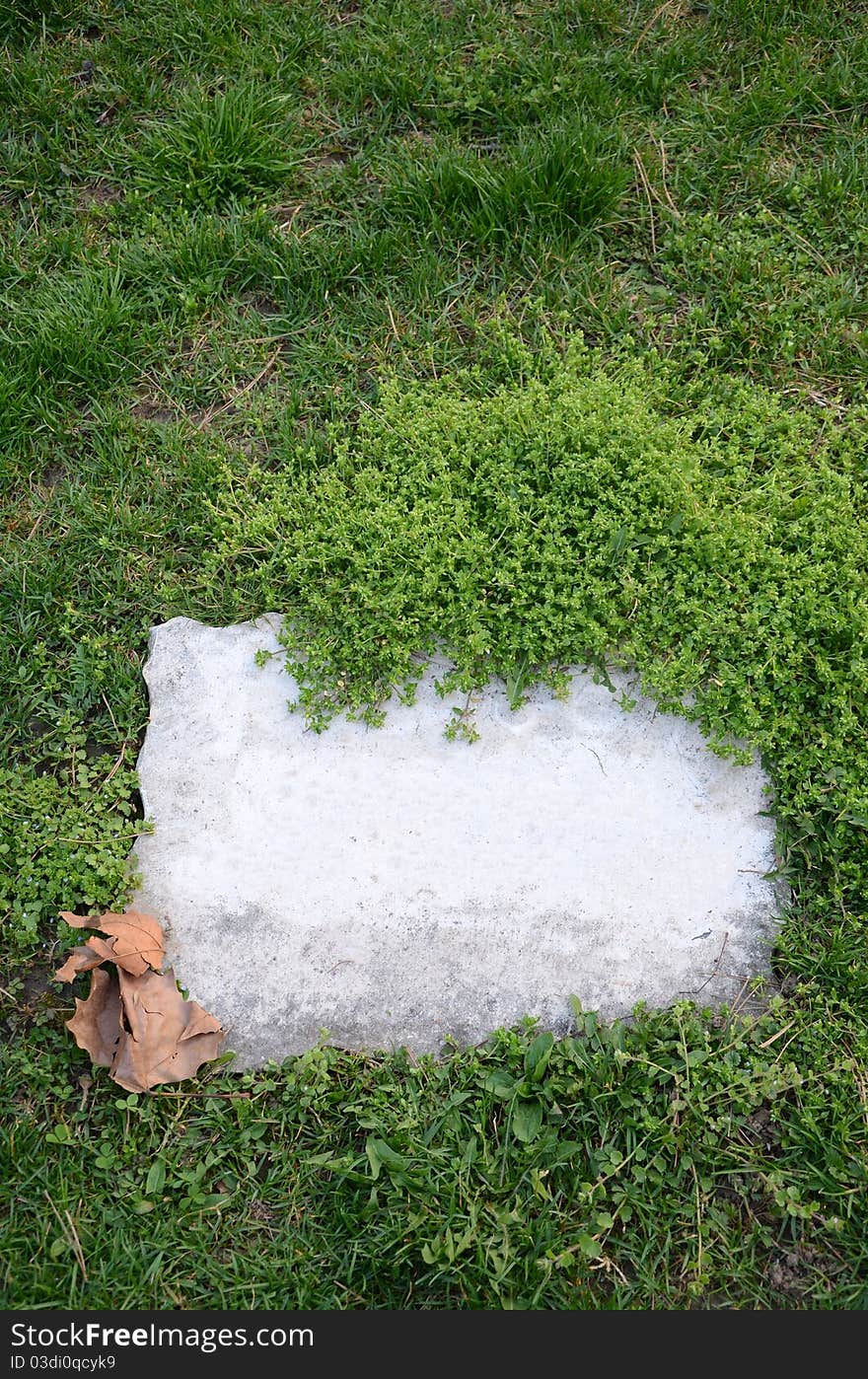 A blank gravestone stands in a cemetary