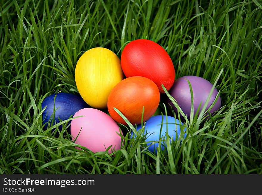 Colorful Easter eggs hidden in the grass