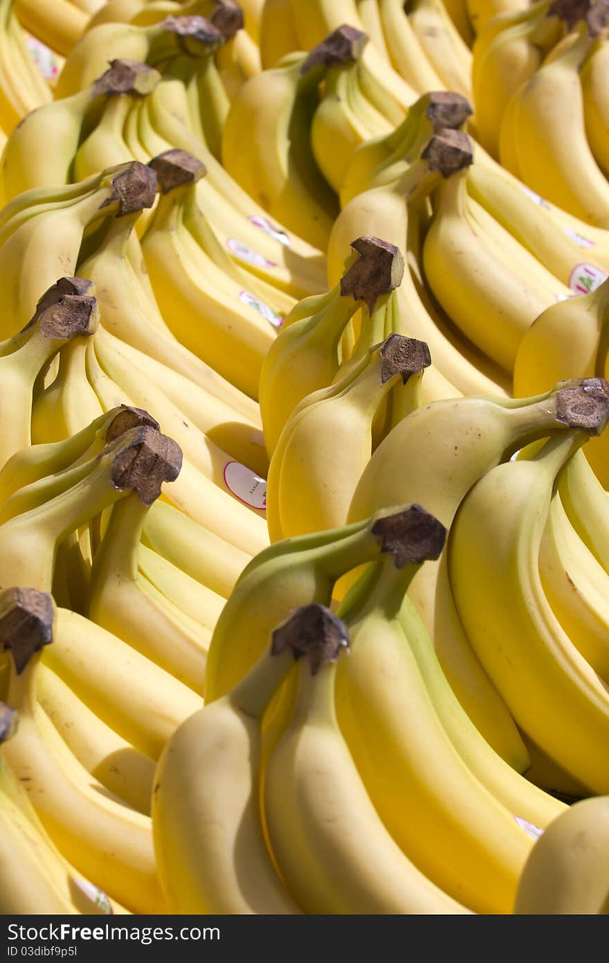 Close up on some bananas.