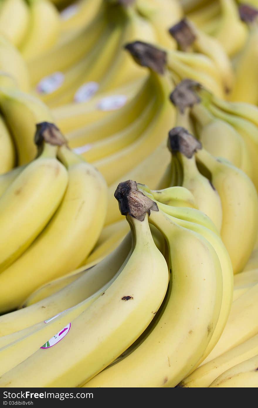 Close up on a cluster of ripe bananas.