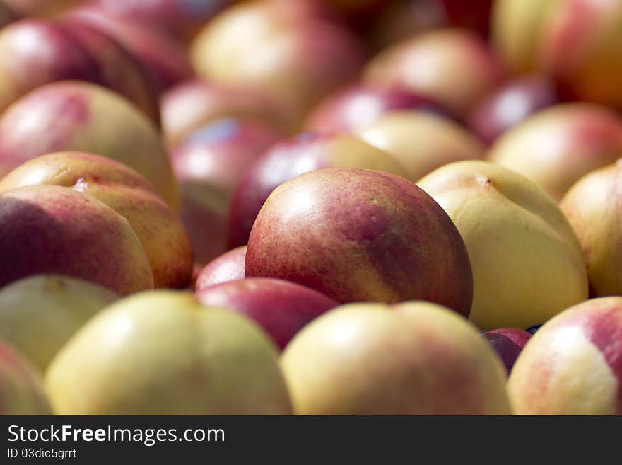 Close up on some peaches.