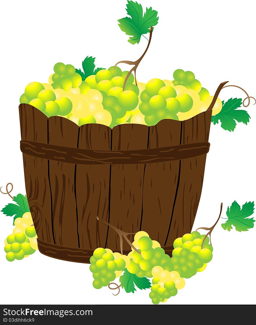 Barrel with juicy yellow grapes. Barrel with juicy yellow grapes