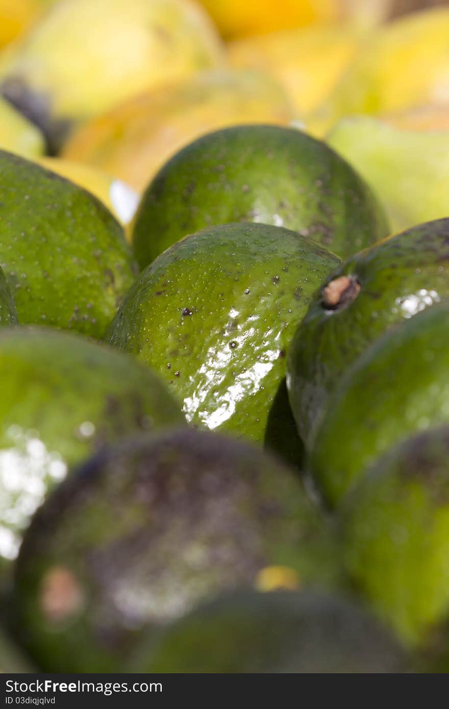 Nice and Yummy avocados on a street market's table.