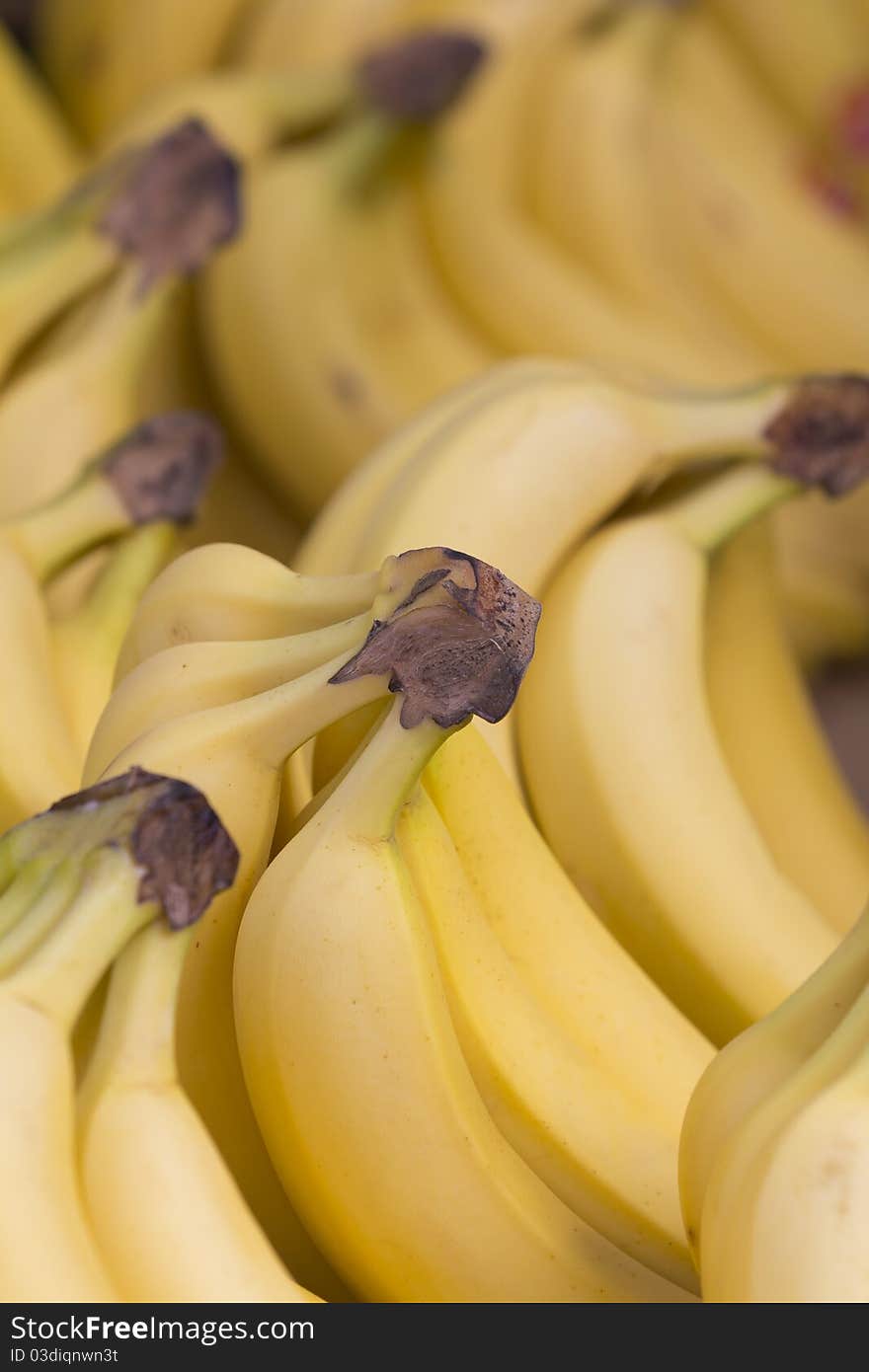 Close up on a bunch of bananas.