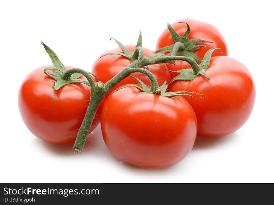 Fresh tomatoes on white background