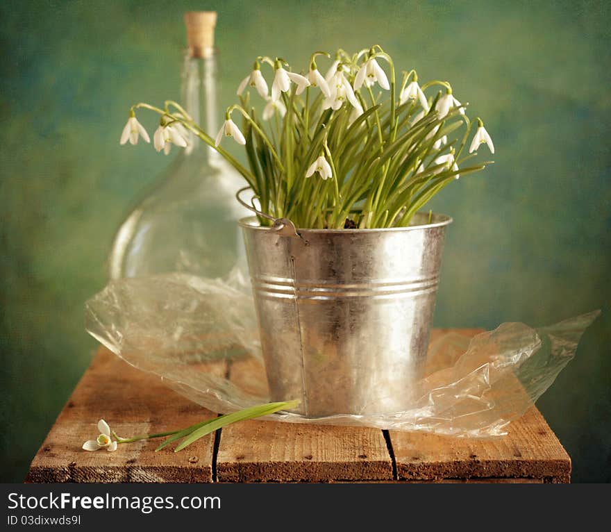 Still life with snowdrops on the case. Still life with snowdrops on the case