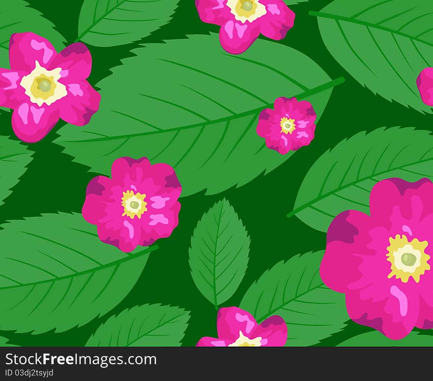 The dogrose leaves and flowers seamless background