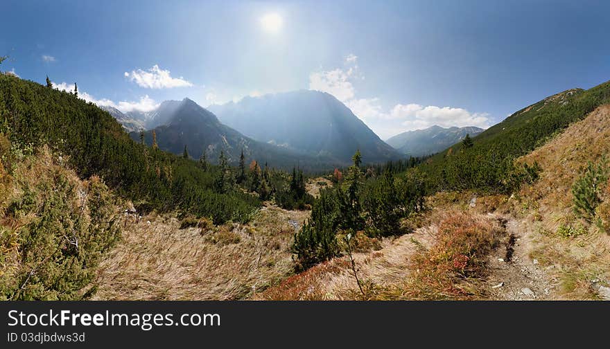 Mountain summer PANORAMA