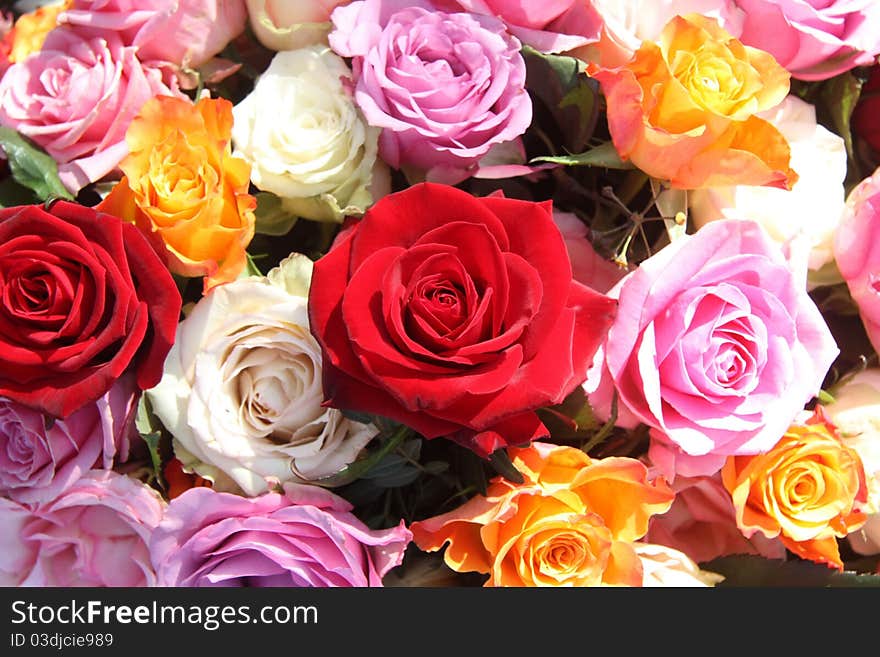 A floral arrangement made off big orange, white, pink and red roses in the sunlight. A floral arrangement made off big orange, white, pink and red roses in the sunlight