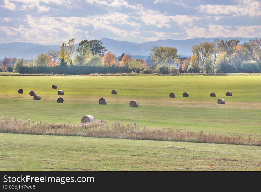 Hay field in the fall