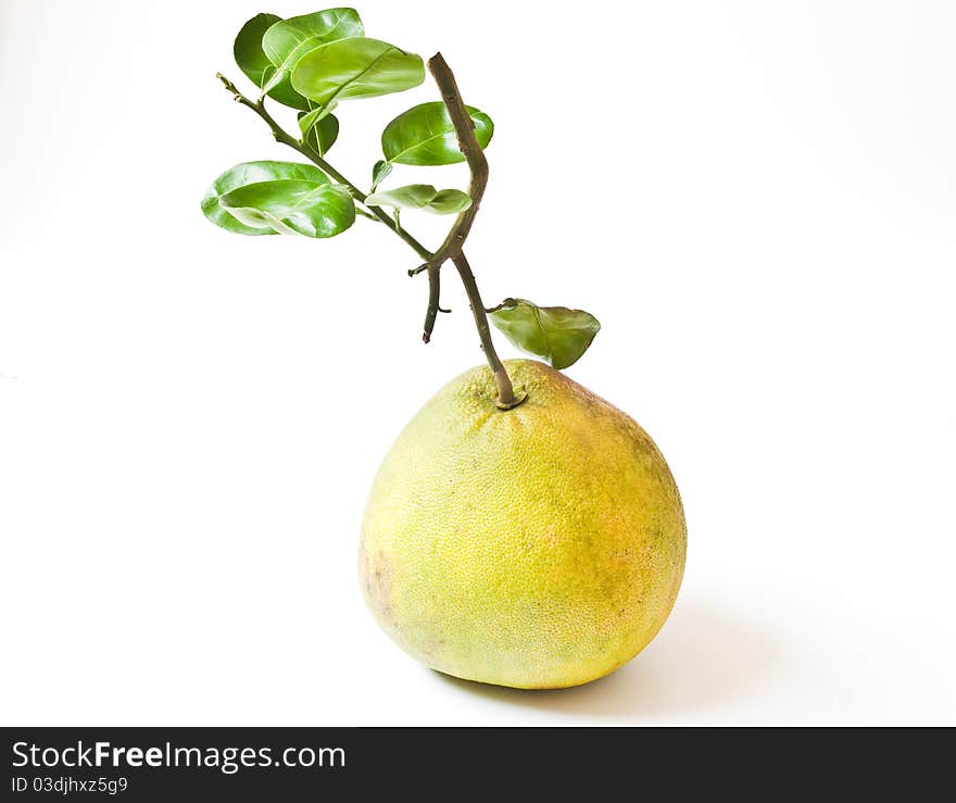 Pomelo fruit with leaves