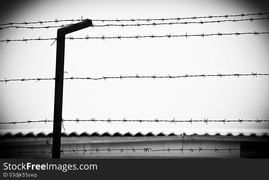 Barbed wire