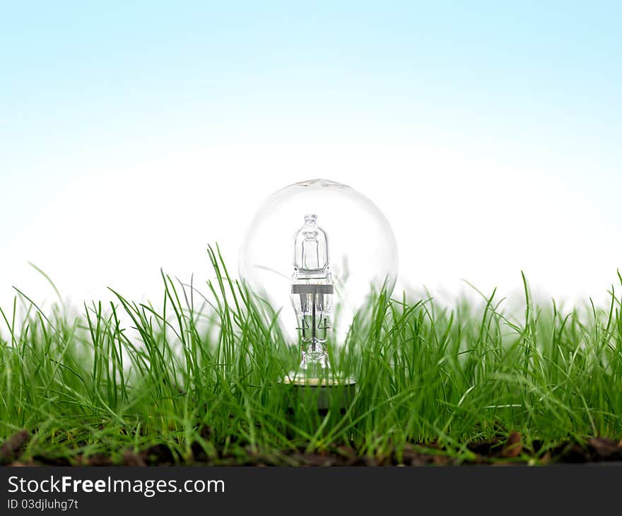 Green grass siolated against a white background