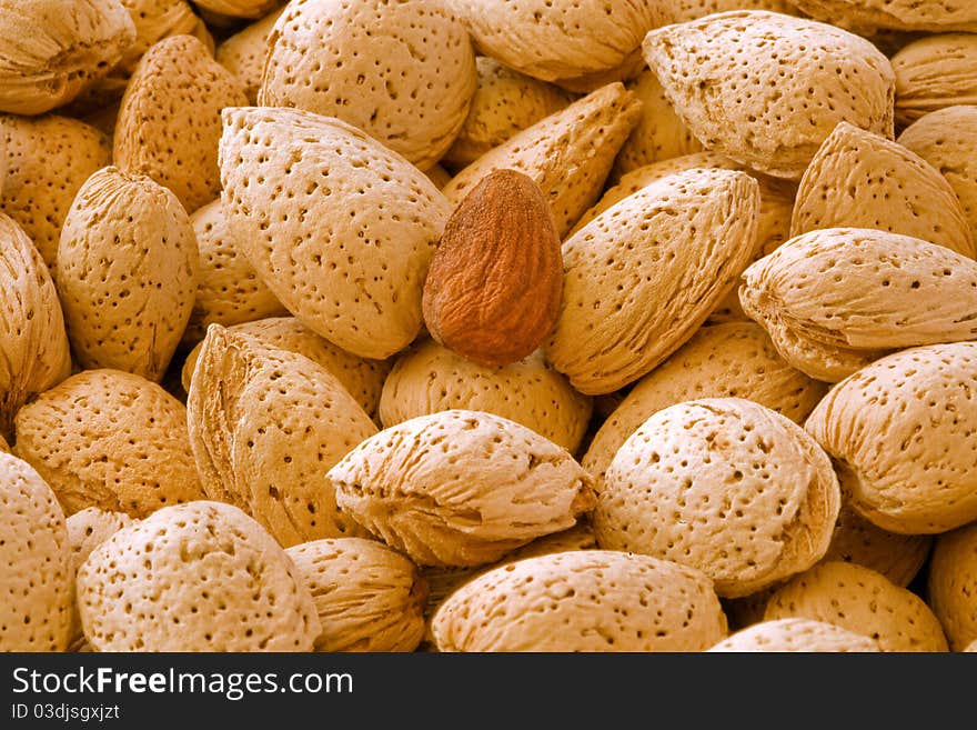 The almond original from south america. The almond original from south america