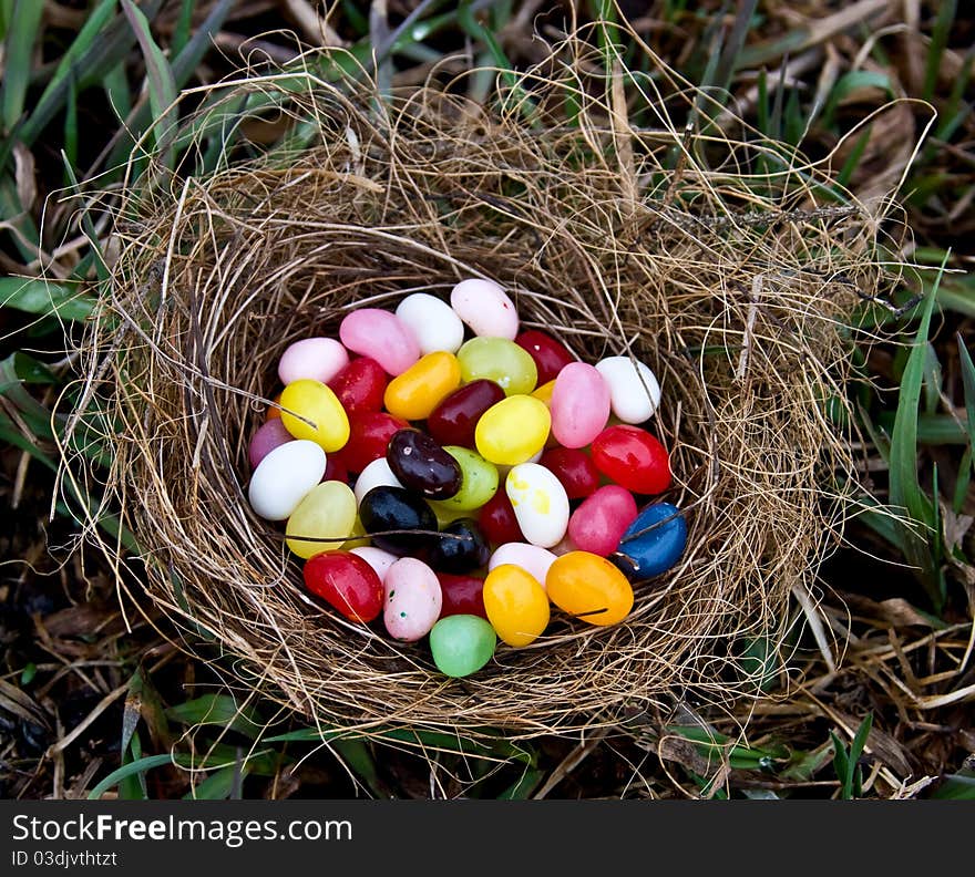 A real birds nest filled with a yummy pile of jellybeans. A real birds nest filled with a yummy pile of jellybeans.