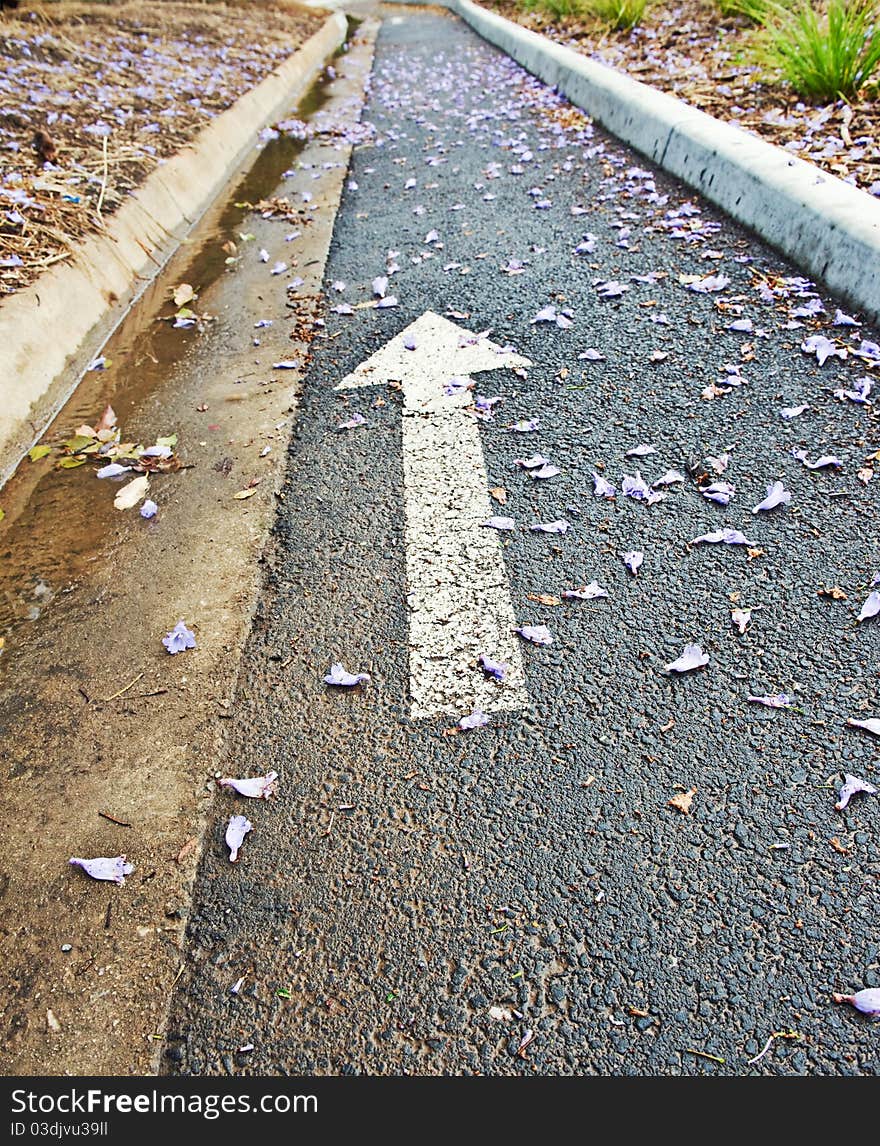 Bicycle lane with arrow  on the road after shower