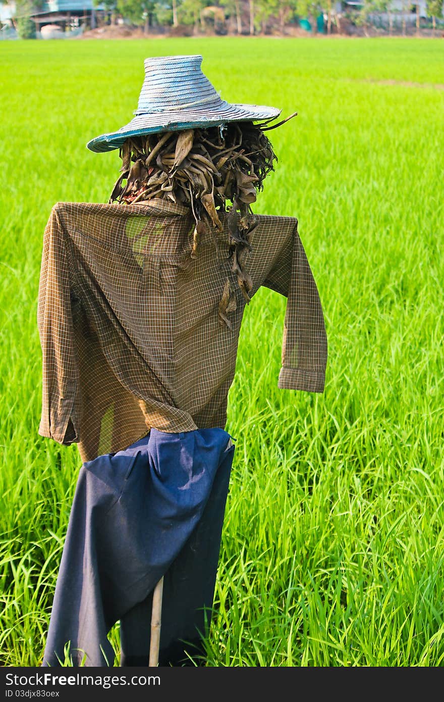 thai scarecrow