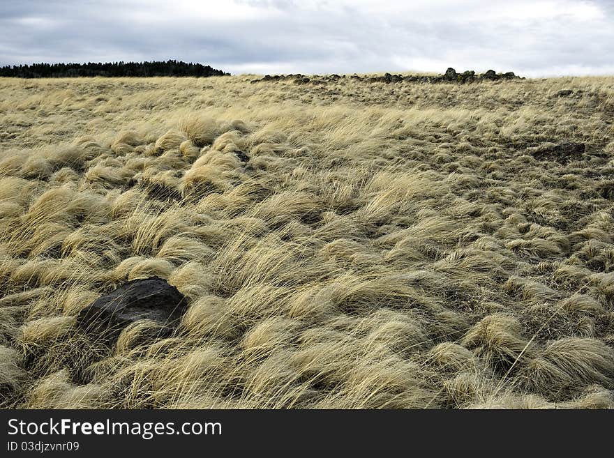 Abandoned land