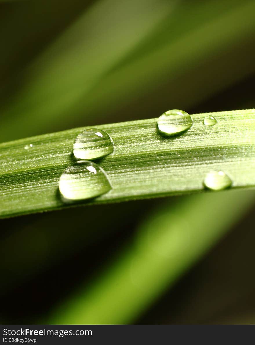 Water drops