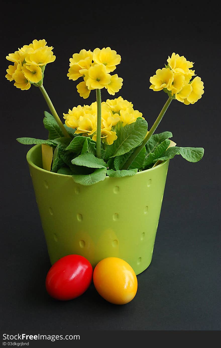 A primrose and Easter eggs