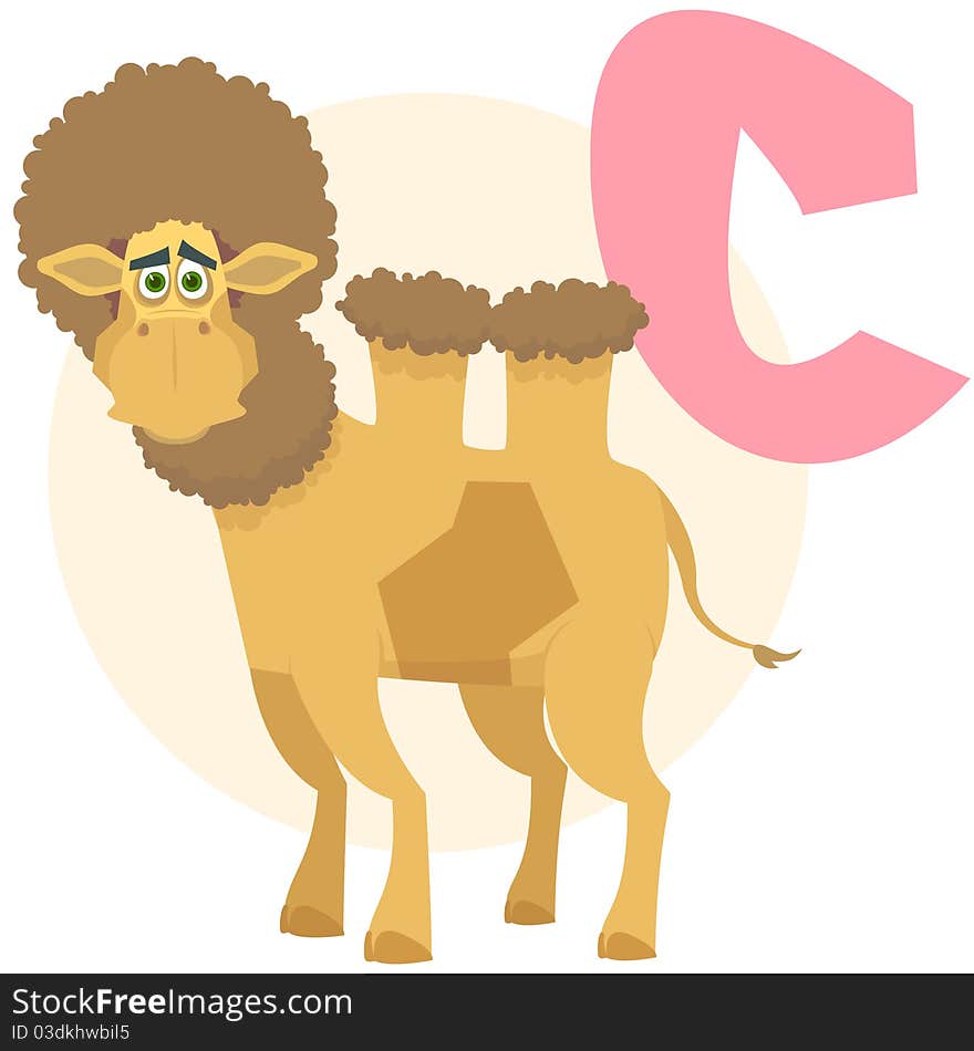 The English alphabet in pictures on a theme of animals. Camel. The English alphabet in pictures on a theme of animals. Camel