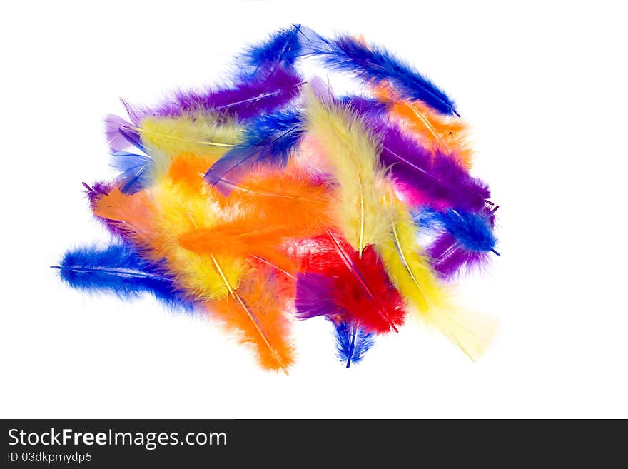 Feathers isolated on a white background