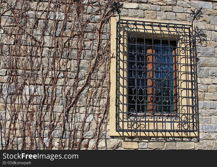 Dead vines on a wall. Dead vines on a wall