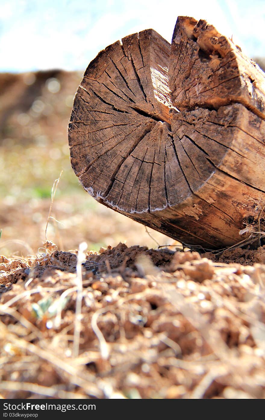 A piece of wood in a farm is ready to use