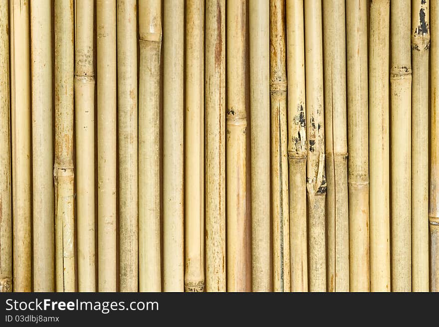 Bamboo Curtain