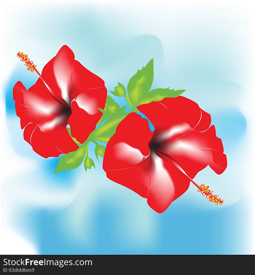 Two red ornamental flowers