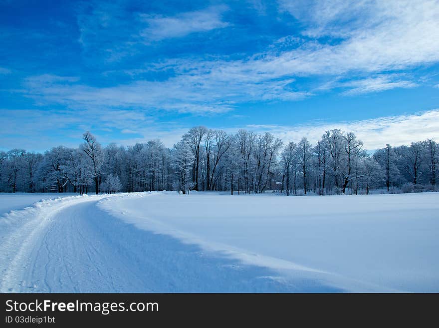 The trees are covered with snow and ice. The trees are covered with snow and ice.