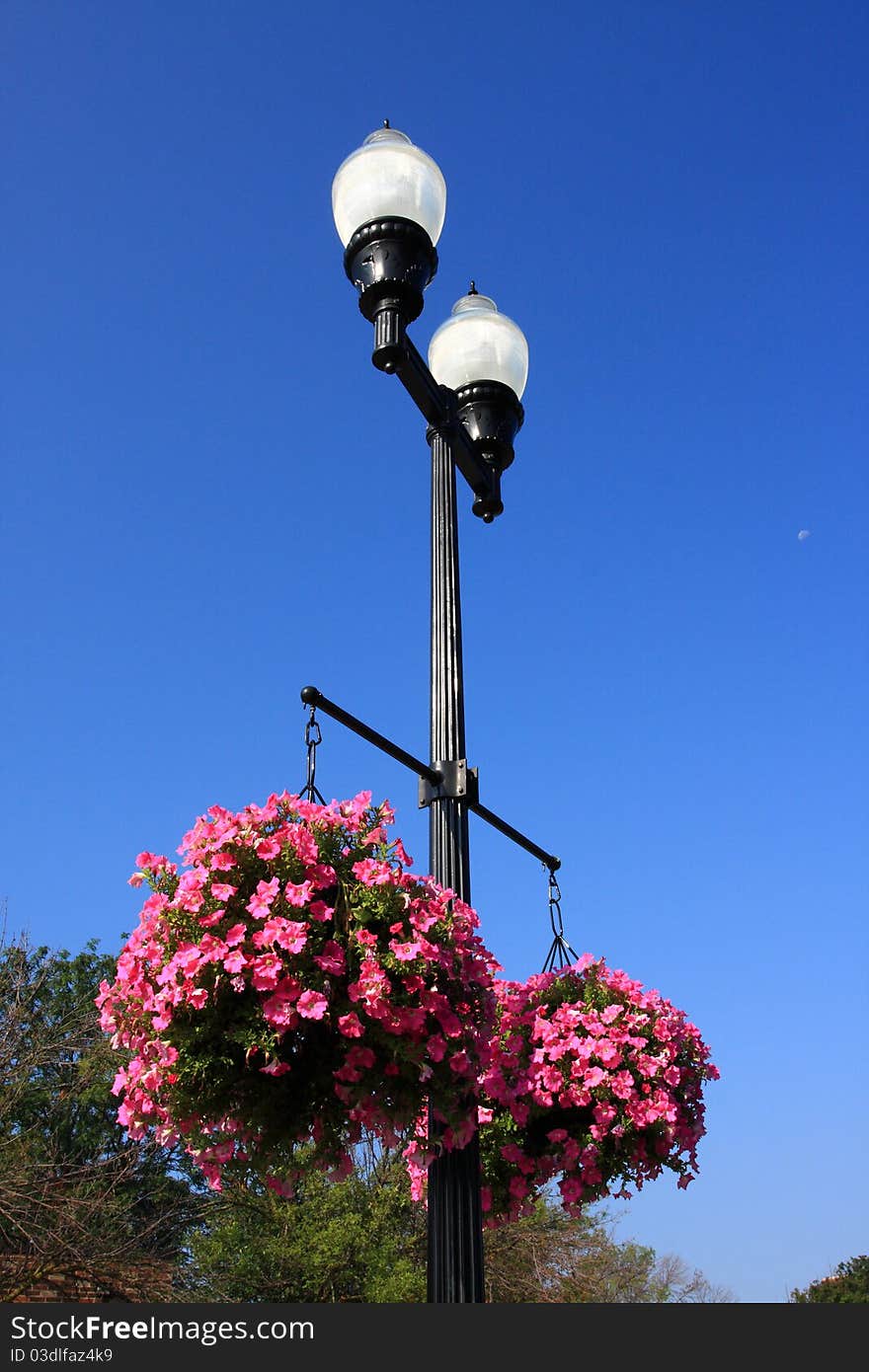 Street lamp and flower