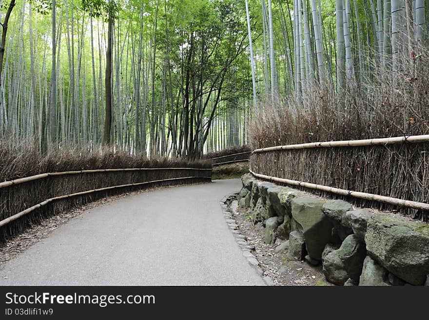 Bamboo Trunk