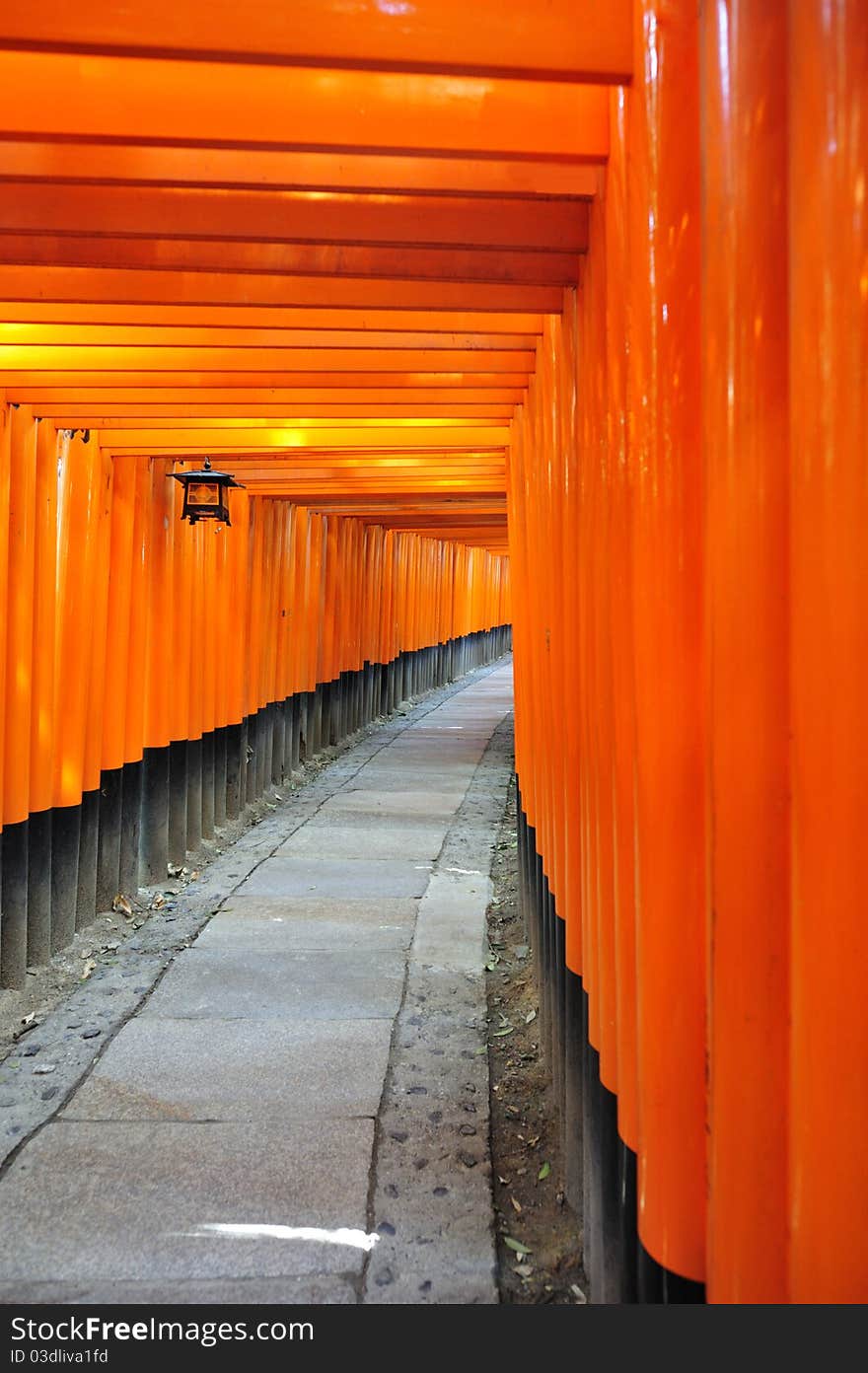 This shrine is the head shrine of Inari the god of rice and patron of businesses. This shrine is the head shrine of Inari the god of rice and patron of businesses