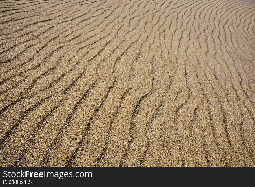 Texture of sand with wind lines. Texture of sand with wind lines