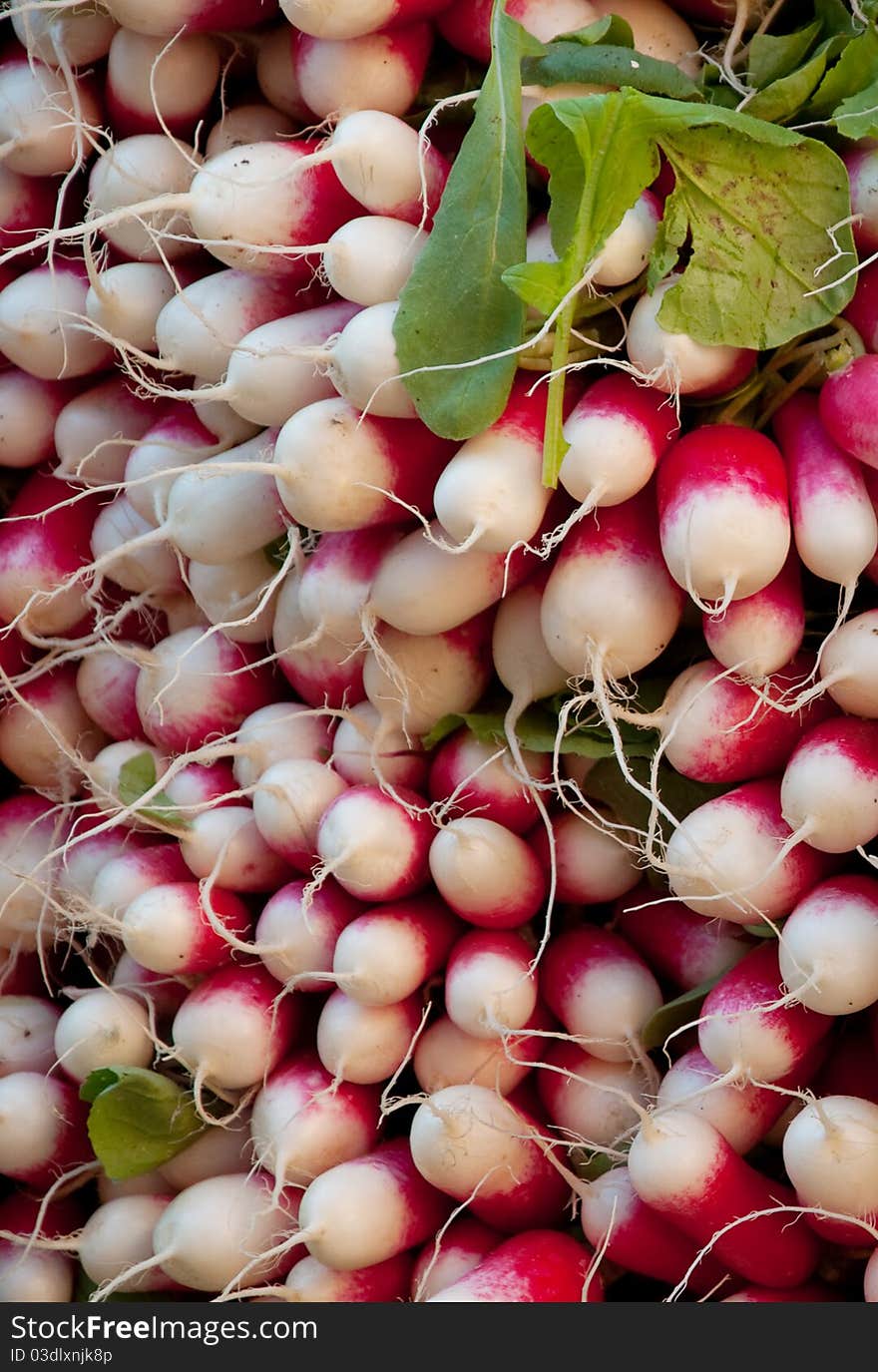 Radishes 2