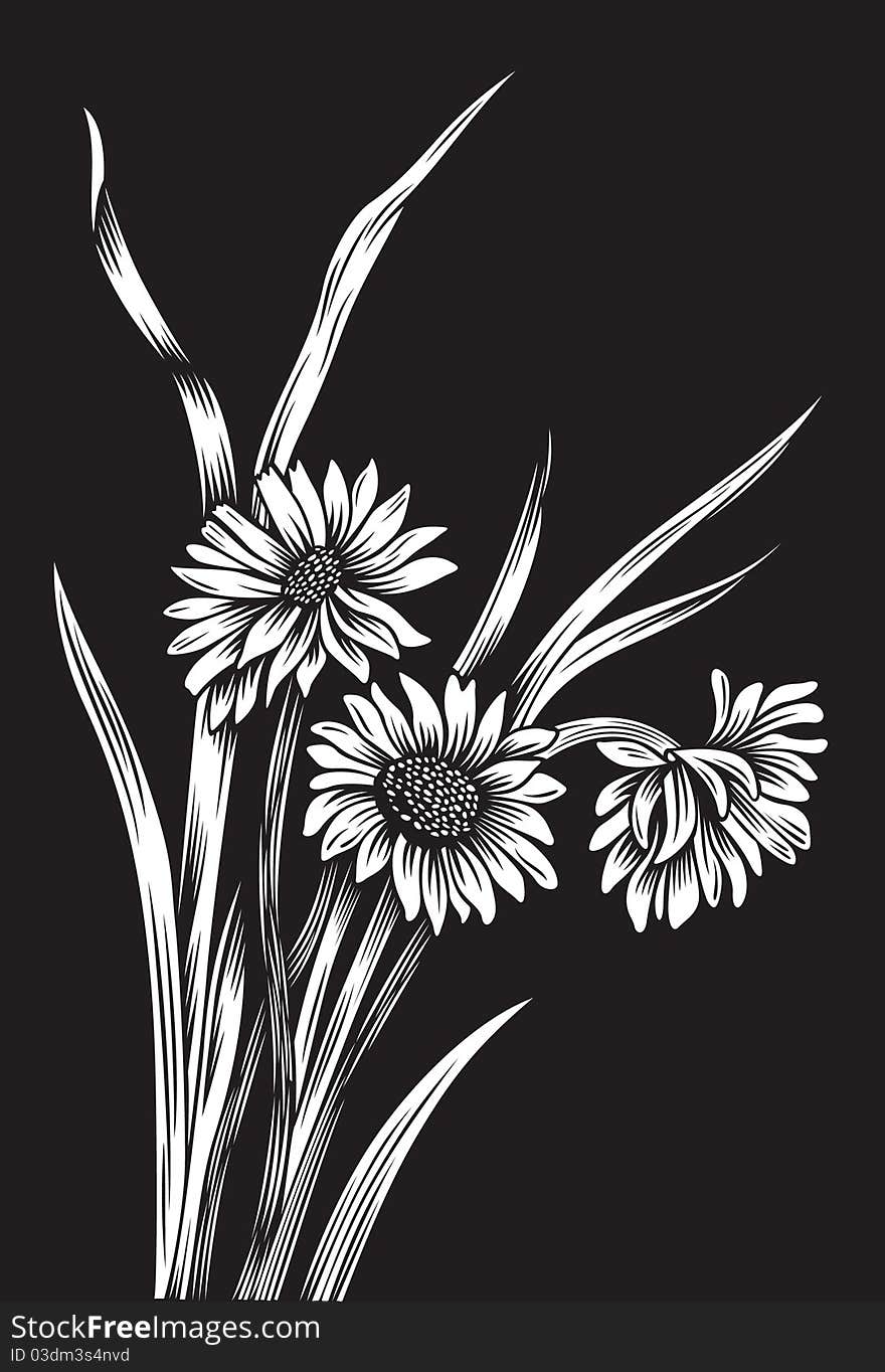 Black and white flowers