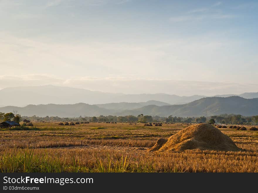 Scenery of paddy and mountain in the Northern of Thailand. Scenery of paddy and mountain in the Northern of Thailand