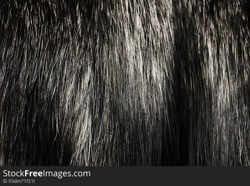 Warm polar Fox fur. Useful as background or texture