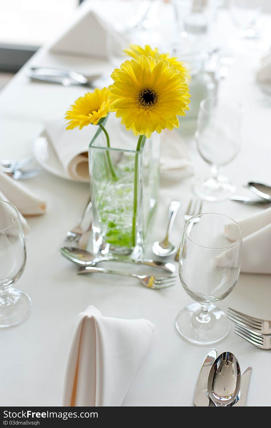 Gerbera daisy flowers on the table