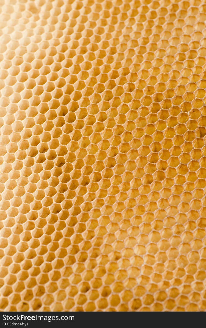 Macro shot of a honeycomb