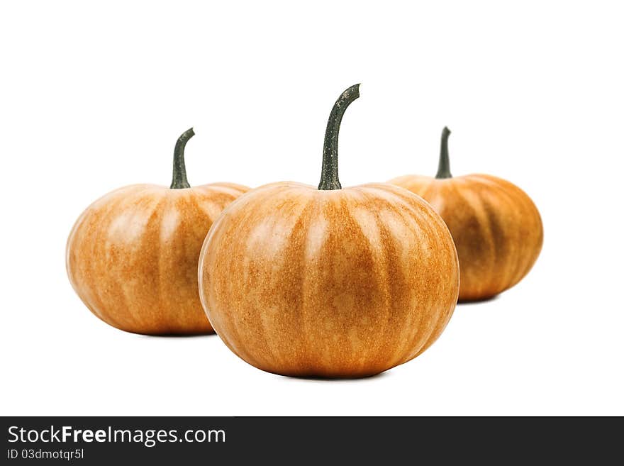 Pumpkin