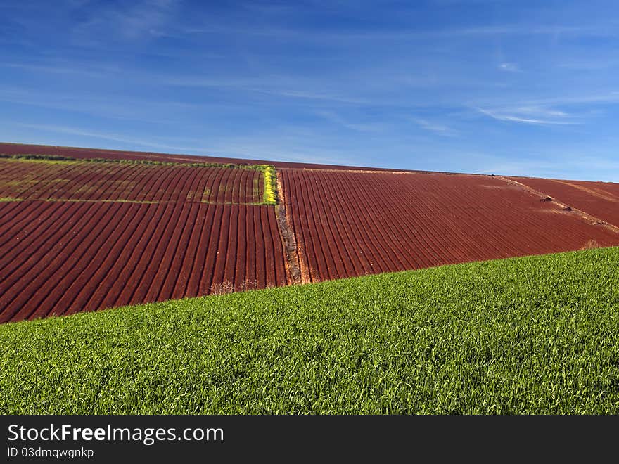 Green meadow, the plowed field and the blue sky. Green meadow, the plowed field and the blue sky