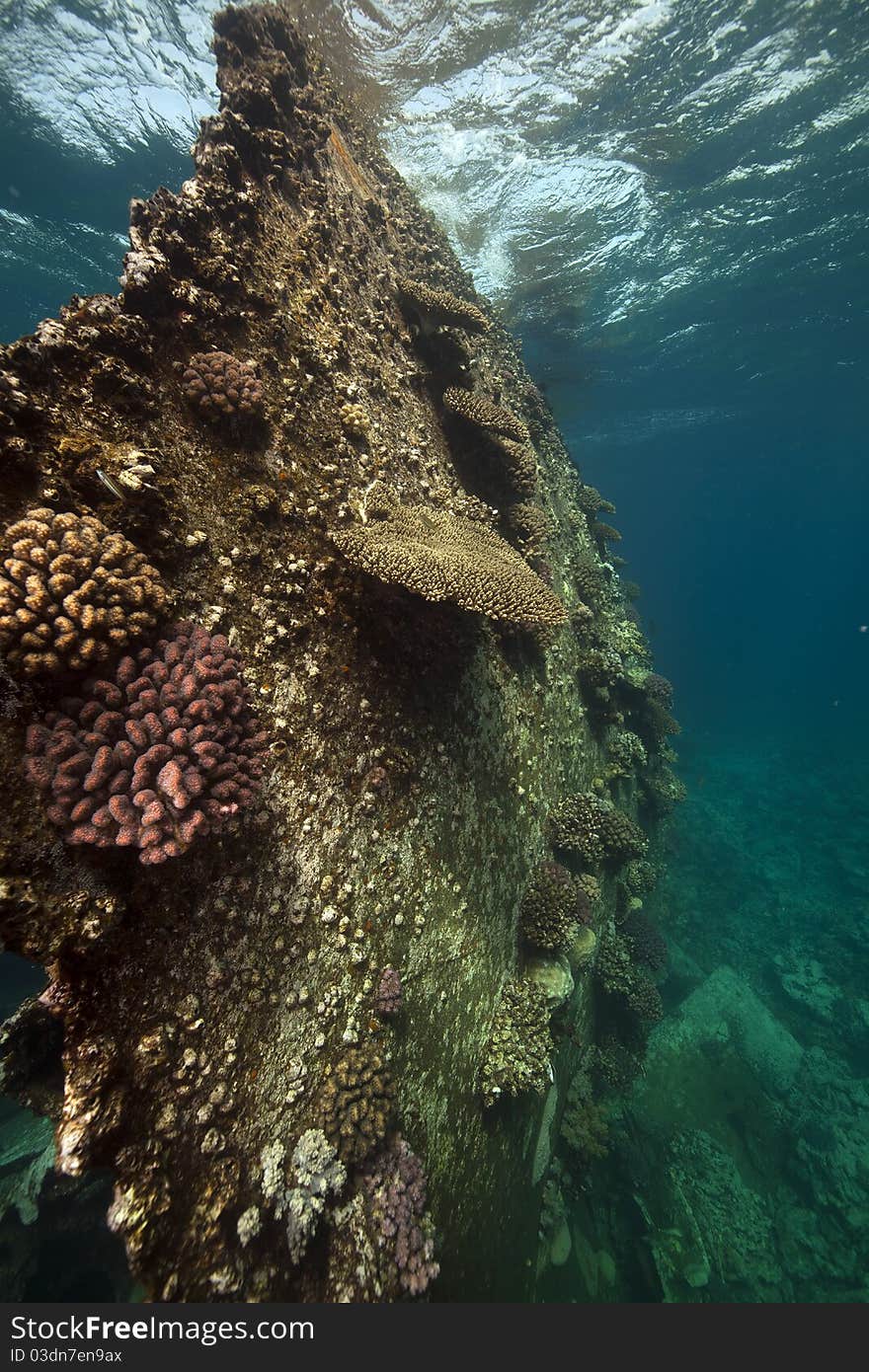 The Kormoran and underwater scenery in the Red Sea. The Kormoran and underwater scenery in the Red Sea