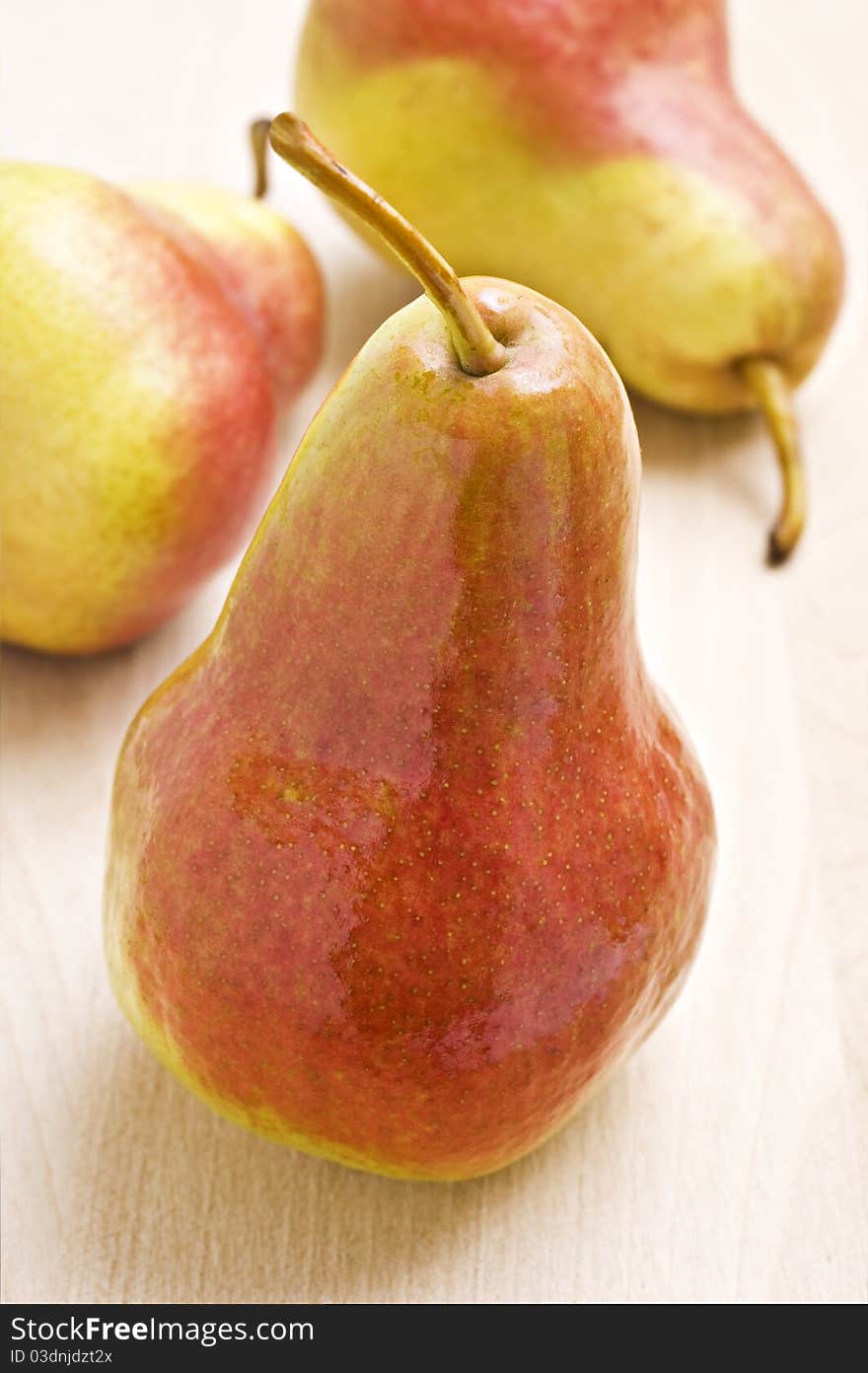 Ripe pear in autumn colors - close up