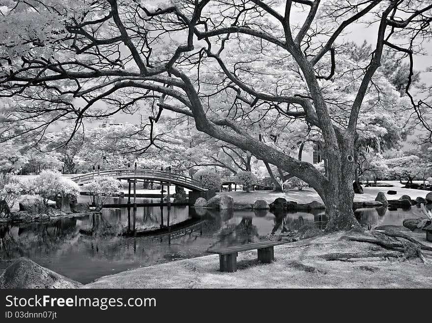 Scenery in Chinese Garden