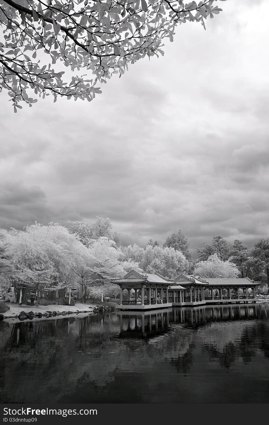 Chinese Pavilion At Chinese Garden