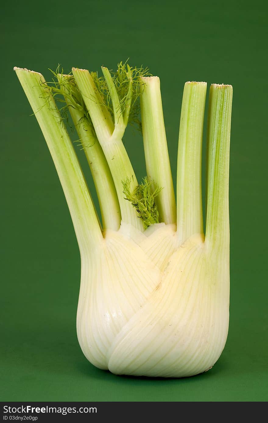 Fennel in the foreground on a green background